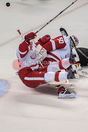 NHL: Detroit Red Wings at San Jose Sharks