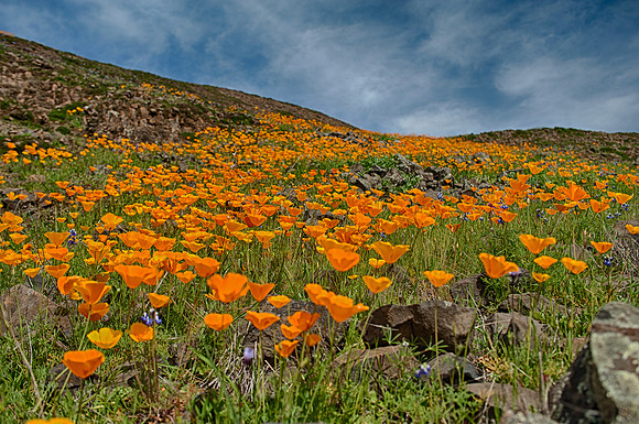 Edward August Photography-San Francisco Bay Area Photographer