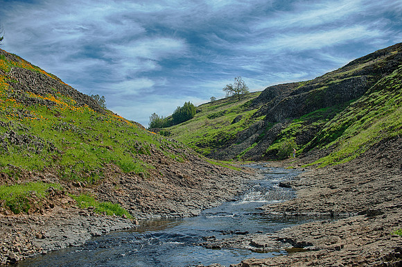 Edward August Photography-San Francisco Bay Area Photographer
