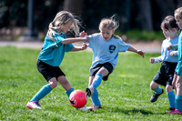Mustangs v Ponies 3.8.25
