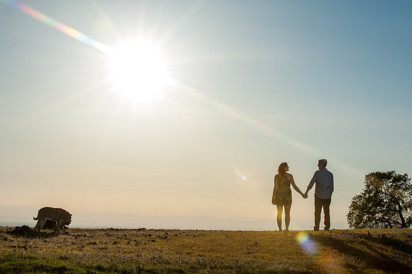 Engagement Session at Table Mountain