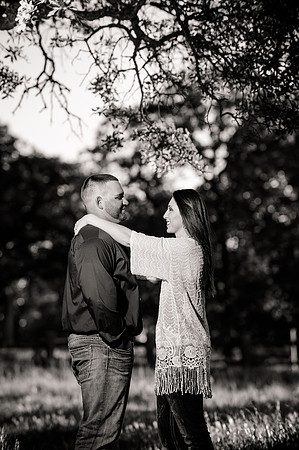 Engagement Session at Upper Bidwell Park
