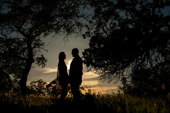 Engagement Session at Upper Bidwell Park