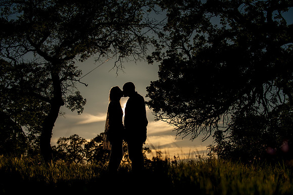 Engagement Session at Upper Bidwell Park