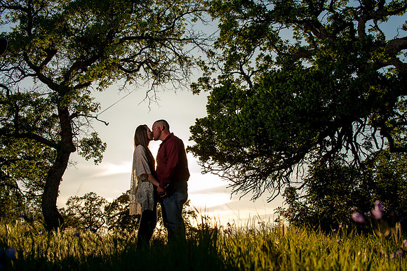 Engagement Session at Upper Bidwell Park