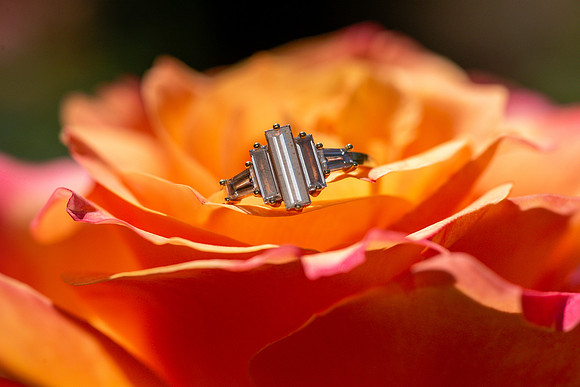 Fitzgerald Wedding Day Photos
