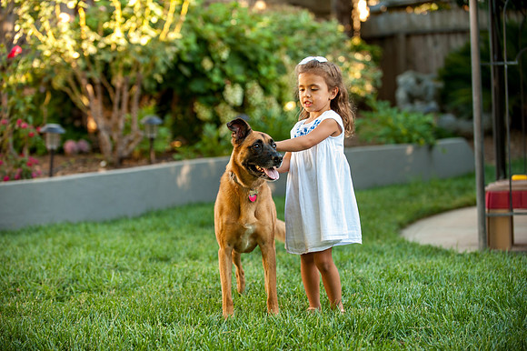 Nunez Family Session