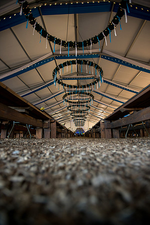 Oktoberfest at Sierra Nevada Brewery 2017