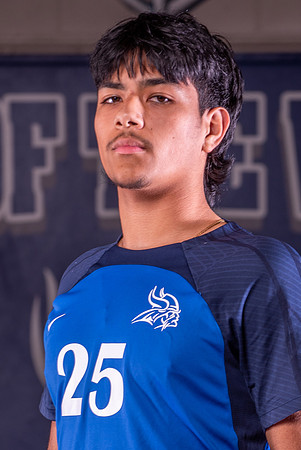 Valley High School Team Photos