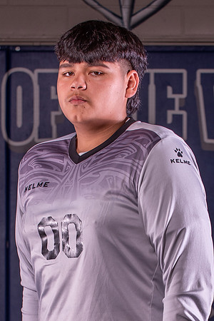 Valley High School Team Photos
