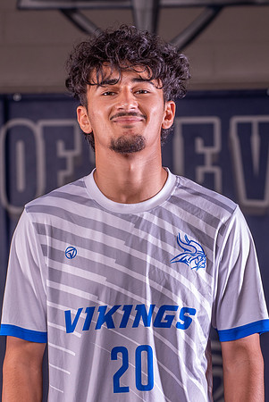 Valley High School Team Photos