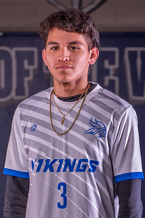 Valley High School Team Photos