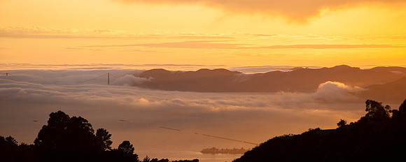 Edward August Photography-San Francisco Bay Area Photographer