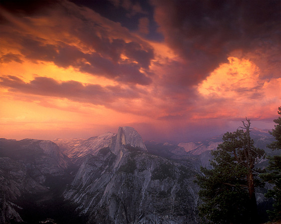 Edward August Photography-San Francisco Bay Area Photographer